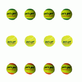 Pro's Pro Championship tennisballen 4 stuks